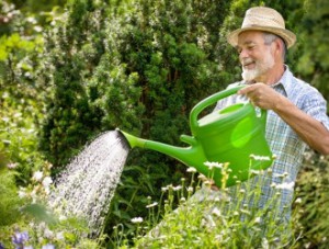 gartenbewaesserung